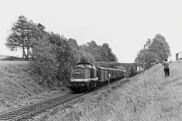 112 849 mit Güterzug von Bad Schandau nach Neustadt bei Krumhermsdorf. 