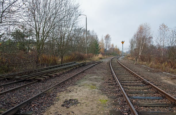 Neustadt / Sachsen, am ehemaligen Abzweig ins Werk Fortschritt. Stillgelegter Streckenabschnitt Neustadt / Sachsen - Neukirch (Lausitz)/West. November 2013.
