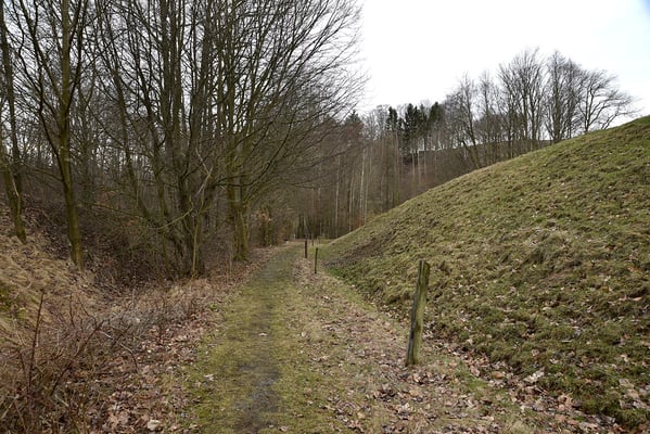 Nach einem kurzen Stück durch den Wald erreicht der Bahndamm diesen Lichtungseinschnitt. Blickrichtung Lohsdorf, 04.03.19