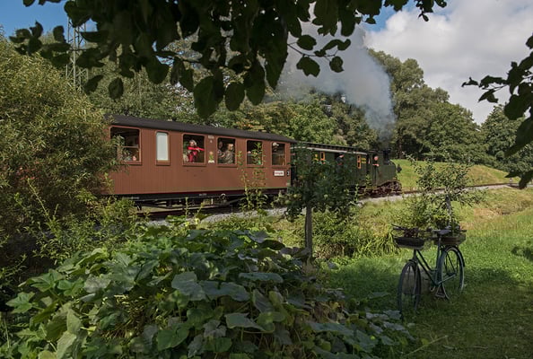 Fahrt durchs Grüne...