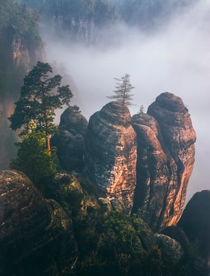 Morgenstimmung im Basteigebiet. 