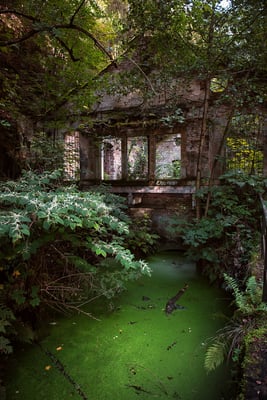 Im Liebethaler Grund bei Lohmen.