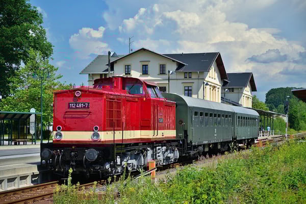 Nach dem Umsetzen in Neustadt / Sachsen. Foto: Daniel Reitmann, 27.06.2020
