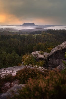 Herbstmorgen auf dem Gamrig bei Rathen.