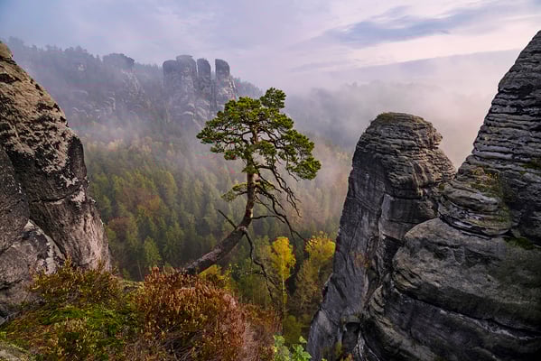 Herbstmorgen an der Pölkingkiefer im Basteigebiet. 