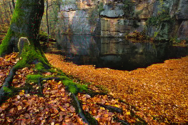 Kleiner Steinbruch im Wesenitztal.