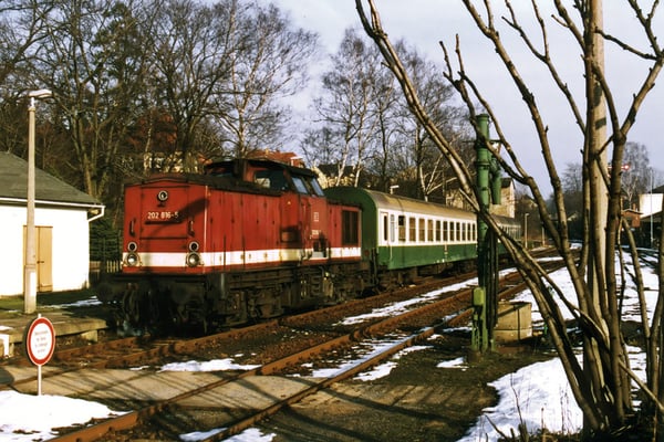 Der "Schülerzug", auf Gleis 1 abgestellt in Sebnitz. In Szene gesetzt mit dem Angelikabaum, den die italienischen Streckenarbeiter 1877 gepflanzt haben und dem Wasserkran. April 1998, Text & Foto: Archiv Axel Förster.