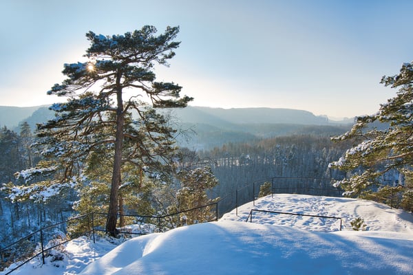 Winter auf dem Arnstein.