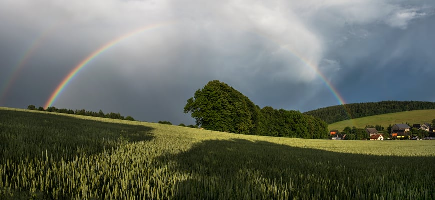 Die vielen Gewitter bescherten uns auf der Heimreise immerhin noch ein schönes Abendliches Highlight. Abziehende Gewitterzelle und Regenbogen bei Rugiswalde nahe Sebnitz, 18.06.16