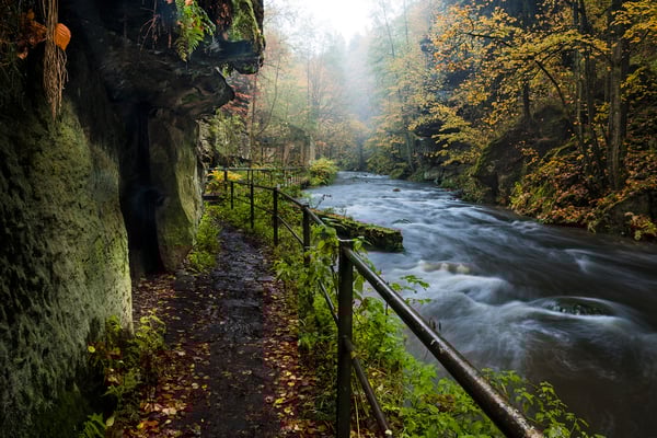 Unterwegs im Liebethaler Grund.