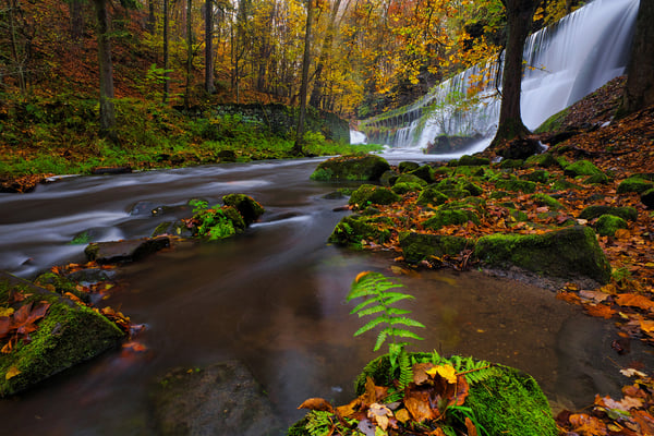 Am Wasserkraftwerk Niezelgrund bei Lohmen.