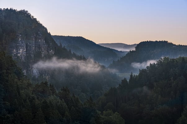 Herbstmorgen im Polenztal. 