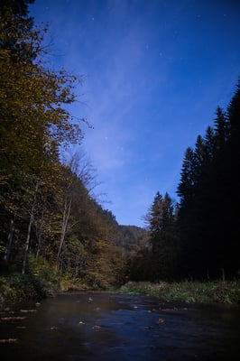 Das Polenztal im Licht des Vollmonds. Durch die längere Belichtungszeit entsteht der Eindruck, die Aufnahme wäre bei Tage entstanden. Doch die Sterne zeigen die Nächtliche Stunde... 