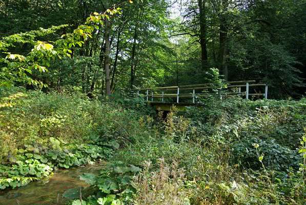 Es geht über die erste Stahlträgerbrücke, die momentan noch als Wanderbrücke dient, 26.09.09