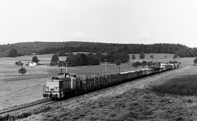 Eine V60 mit gemischtem langen Güterzug in der Steigung bei Krumhermsdorf Richtung Bad Schandau. Vermutlich unterstützt durch eine weitere V60 Schublok am Zugschluss. Dort lässt sich auch noch das Bahnwärterhaus erkennen das heute nicht mehr existiert.