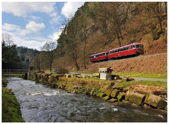 Mitte April war der Uerdinger Schienenbus des DDM aus Neuenmarkt-Wirsberg zu Gast auf dem Sächsische Schweiz Ring. Hier kommt der Zug die Steigung hinauf zwischen Porschdorf und Goßdorf-Kohlmühle. 17.04.12