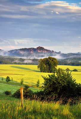 Blick vom Adamsberg zu den Schrammsteinen.