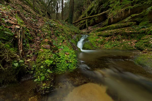 Im Schindergraben bei Hohnstein. 