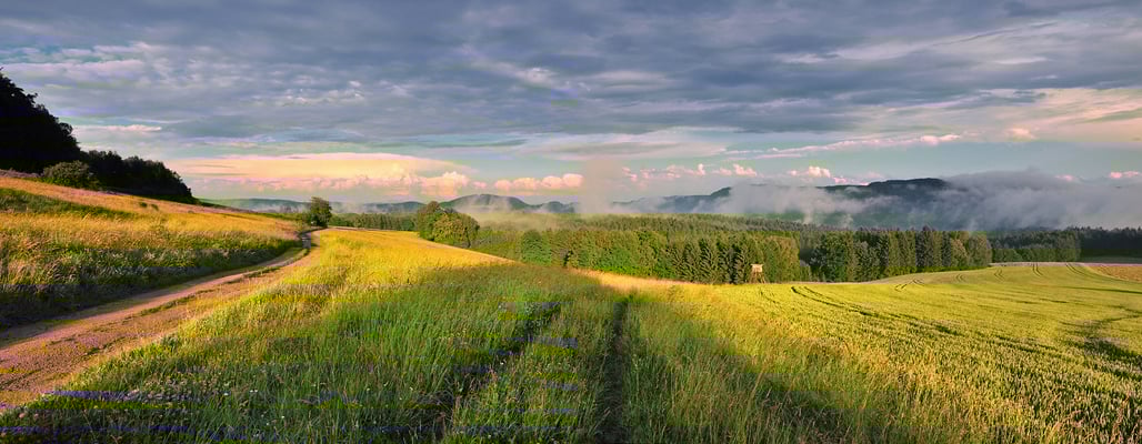 Nach einem Sommergewitter. Blick vom Schaarwändeweg in die hintere Sächsische Schweiz. Geht man diesen Weg weiter gelangt man zum Beuthenfall im Kirnitzschtal. 