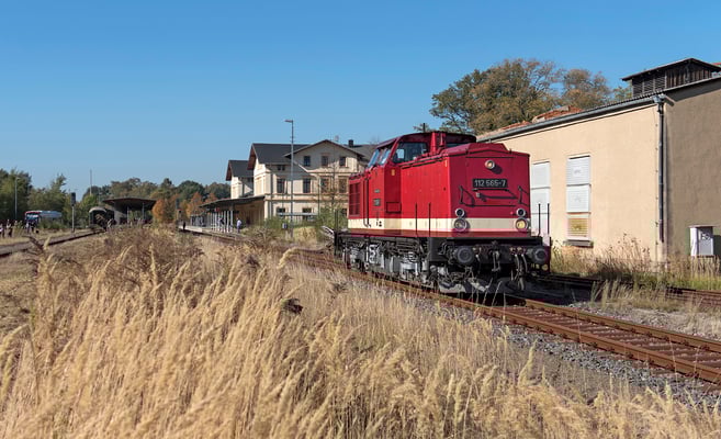 Umsetzen von 112 565 in Neustadt. 13.10.18