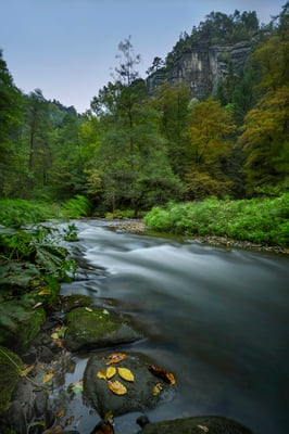Herbstbeginn im Polenztal. 