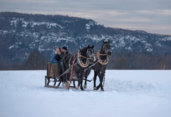 Begegnungen am Wegesrand... Auf dem Panoramaweg bei Lichtenhain.