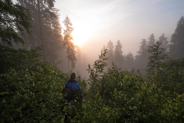 Morgenstimmung am Lichtenhainer Panoramaweg.