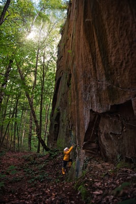 Im Liebethaler Grund bei Lohmen.