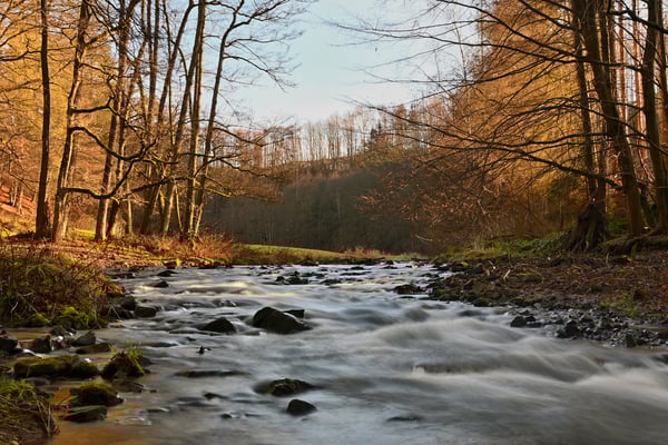 Winter ohne Schnee und bei 16°C im Polenztal. 