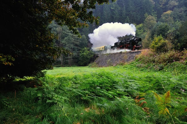 Anlässlich des Landeserntedankfestes in Sebnitz hatten die Ostsächsischen Eisenbahnfreunde Sonderfahrten auf der Sebnitztalbahn organisiert. Am 22.09.12 donnert 52 8080 auf dem Weg nach Sebnitz aus Tunnel 3 bei Ulbersdorf. 