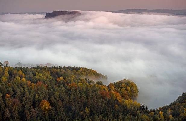 Blick vom Gohrisch zum Lilienstein, der sich mal wieder als berüchtigter Fels in der (Nebel)-brandung zeigt. 