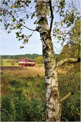 810 183-4 Dolni Poustévna-Rumburk bei Horni Poustévna, 05.10.2013