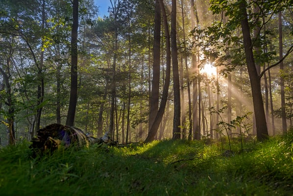 Sonnenaufgang an den Elbleiten. 