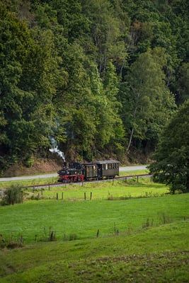 Der Sonntag zeigte sich wieder von seiner besten Seite. 99 516 zuckelt durch die Landschaft. 06.09.2020