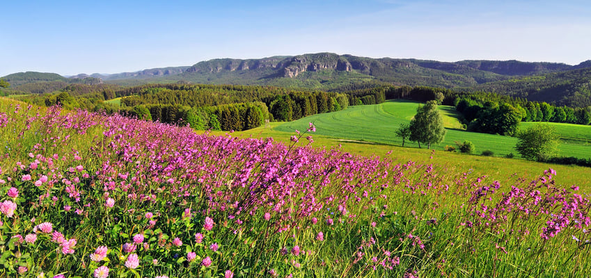 Frühlingsfarben bei Altendorf. Panorama aus 3 Aufnahmen.