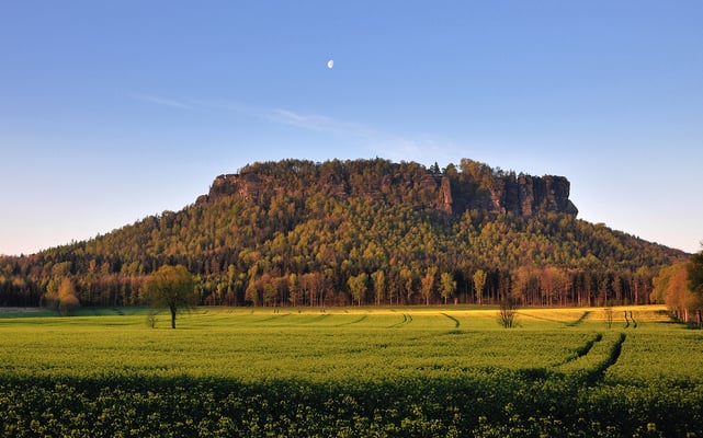 Sonnenaufgang, Rapsblüte und Mond am Lilienstein.