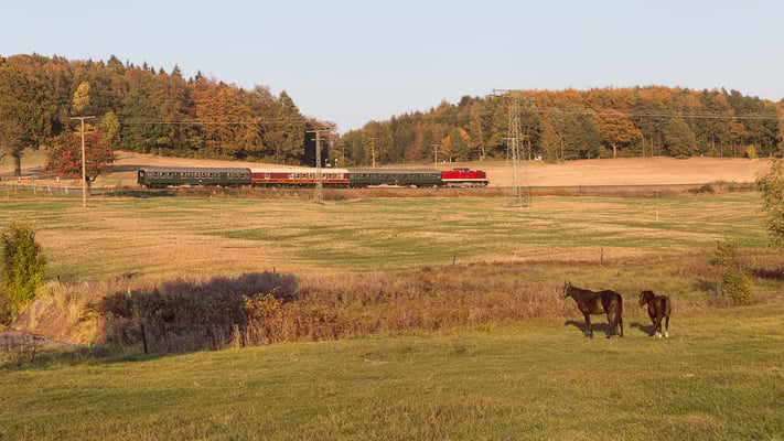 Im Goldenen Oktober-Abendlicht wurde der Zug erneut bei Krumhermsdorf abgelichtet. Foto: Jürgen Vogel, 13.10.18
