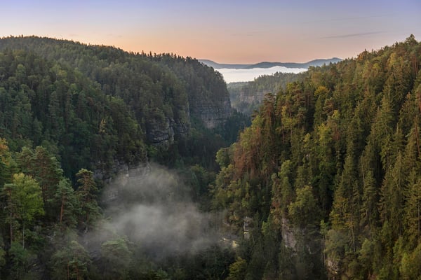 Herbstmorgen im Polenztal. 