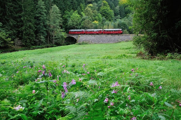 Am Nachmittag ging es dann weiter in Richtung Bad Schandau. Das letzte Bild zeigt den Zug im Sebnitztal bei Ulbersdorf. 15.09.12