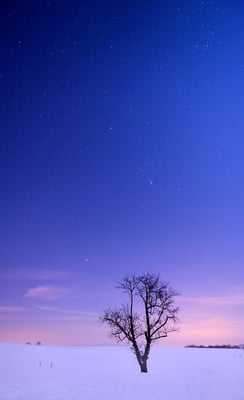 Auf den Feldern zwischen Hohnstein und Ehrenberg suchten wir uns ein paar schöne Solitärbäume. Am Himmel das Sternbild Orion. 