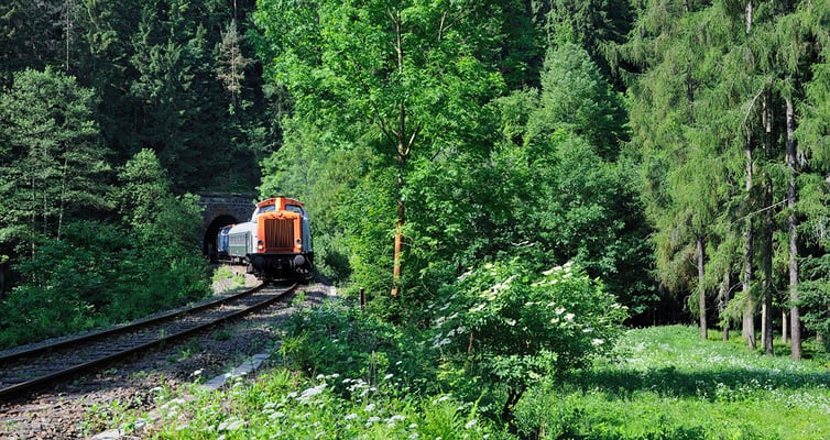 Zum letzten Mal im Sebnitztal habe ich die Fuhre hier nochmal am Tunnel 5 abgelichtet. Kurz danach rollt der Zug im Bahnhof Ulbersdorf ein. 05.06.11, 09:37 Uhr