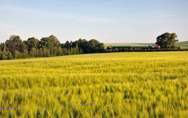 " Morgenstund hat Gold im Mund " - es hätte wohl kaum einen besseren Zeitpunkt für diese Plandieseltage geben können... Langenwolmsdorf, 05.06.11, 06:14 Uhr
