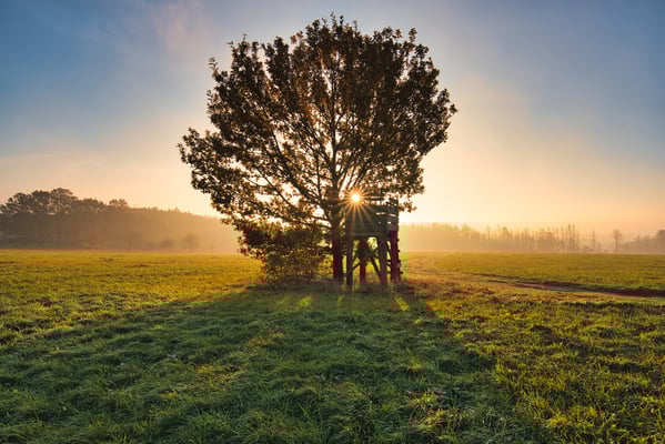 Herbstmorgen über dem Polenztal.