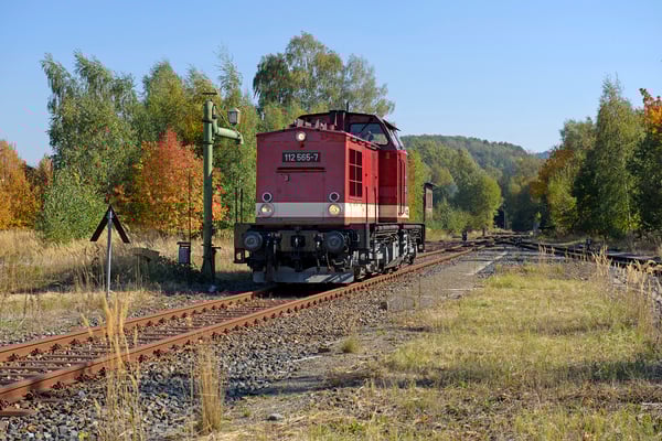 Umsetzen von 112 565 in Neustadt. 13.10.18