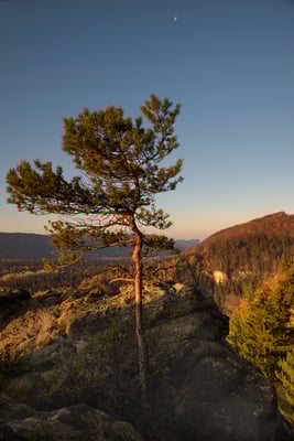 Goldener Herbst an der Großsteinkanzel. 