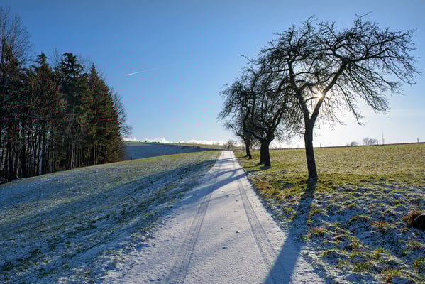 Auf dem Mühlenweg aus dem Sebnitztal hinauf in Richtung Altendorf. 