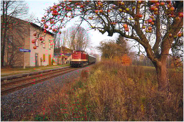 Im letzten Licht des Tages geht es Richtung Pirna. Hier durcheilt der Zug den Haltepunkt Langenwolmsdorf, eíngerahmt von einem Apfelbaum und verschwindet schließlich im Sonnenuntergang... Schön wars! 05.11.11