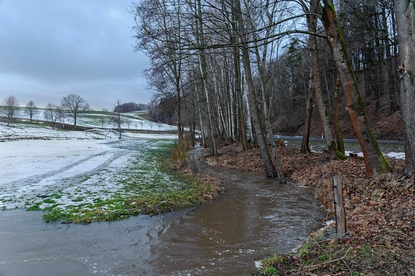 An dieser Stelle werden später auch Arbeiten zur Befestigung des Ufers nötig. Blickrichtung Ehrenberg. 11.02.19