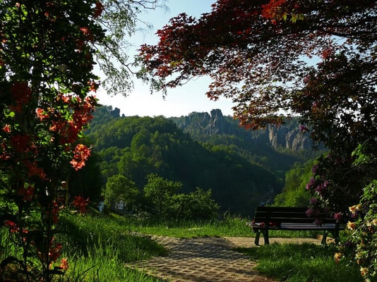 Im Rhododendronpark oberhalb von Rathen.