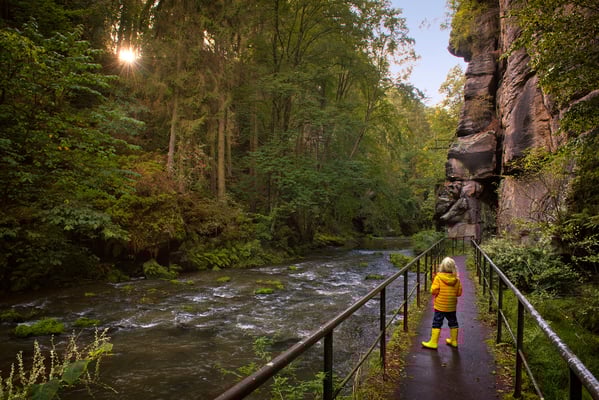 Unterwegs mit dem Sohnemann im Liebethaler Grund bei Lohmen. Hier gibt es eine Vielzahl an Motiven. 